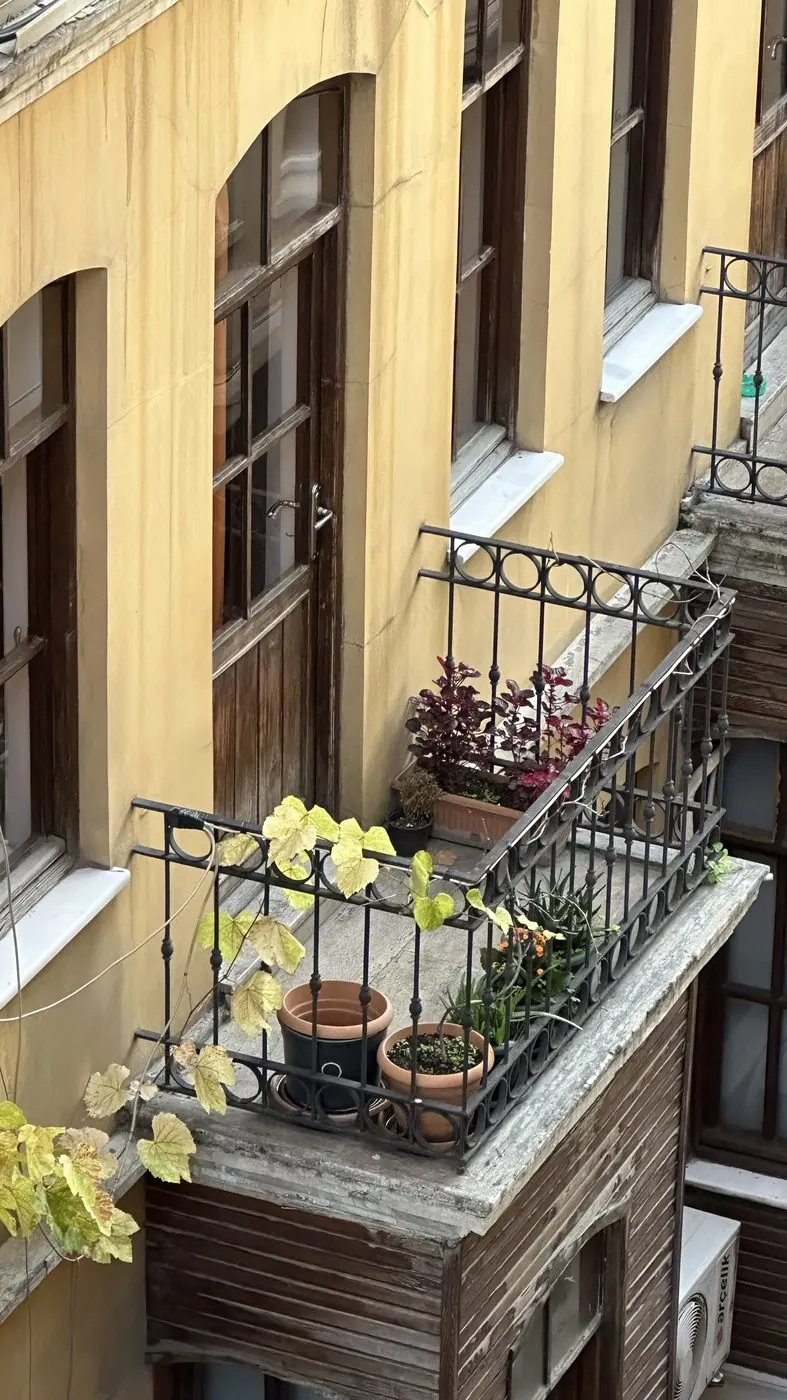A balcony crowded with potted plants on a cream-coloured building
